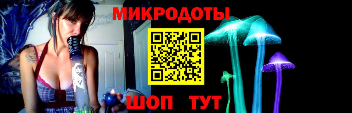 Алексин  Галлюциногенные грибы Psilocybe  Вход с VPN 